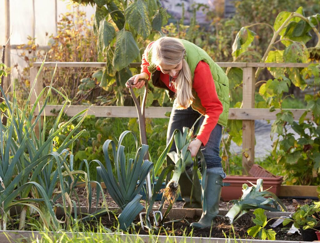 A forward-thinking approach to embracing the community